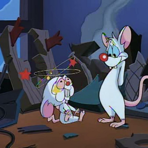 Pinky Pinky And The Brain Wiki Fandom