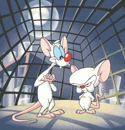 download pinky and the brain 2023 download pinky and the brain 2023