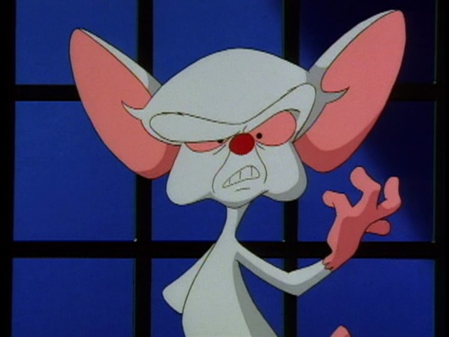 Резултат с изображение за pinky and the brain take over the world