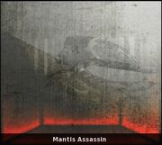 Assassin