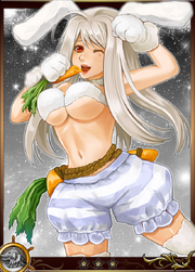 Fianna2
