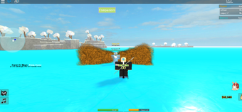 In Game Content Pirate S Life Roblox Wiki Fandom