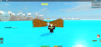 Pirates Life Roblox