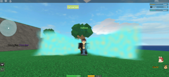 Roblox A Pirates Life