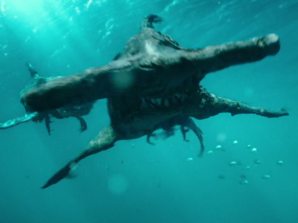Cursed Hammerhead Shark | Pirates of the Caribbean Extras Wikia | Fandom