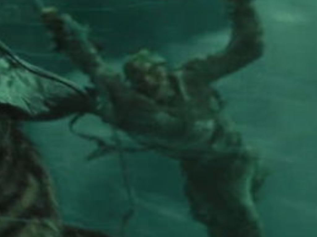 Fauntleroy PotC Wiki FANDOM powered by Wikia