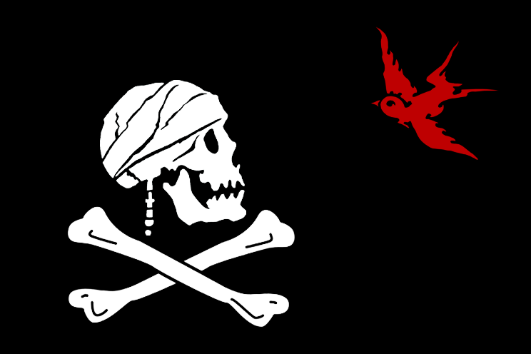 Image result for pirates of the caribbean flags