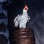 POTC TabberRideChicken