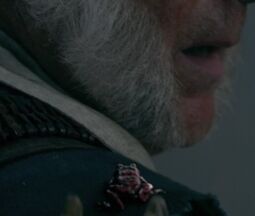 OSTFrogonGibbsShoulderCropped
