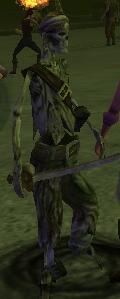 Undead Captain