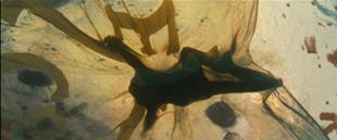 310px-Becketts dead body