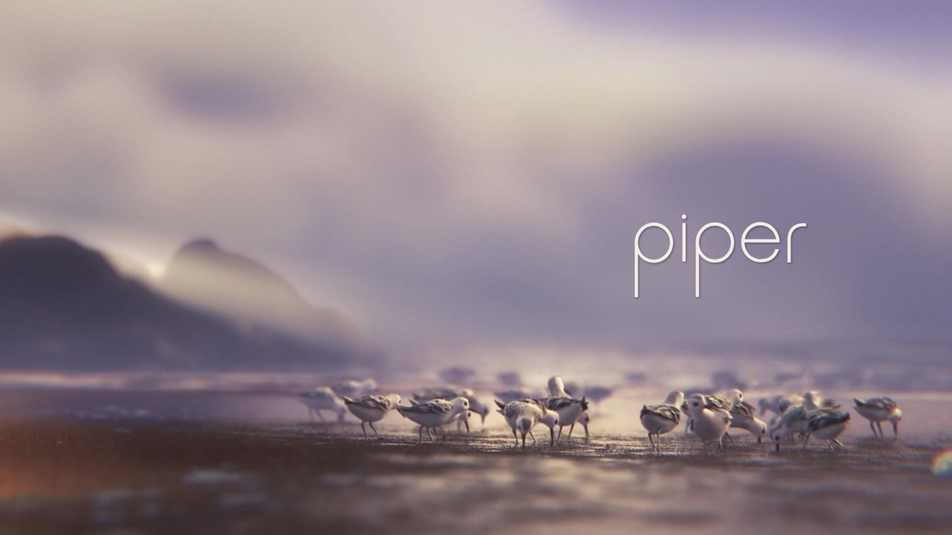 piper pixar wiki fandom powered by wikia