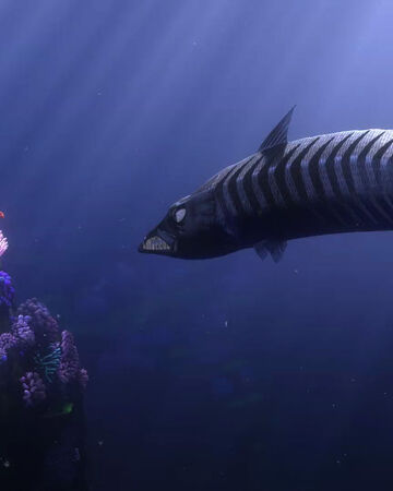 Barracuda Pixar Wiki Fandom