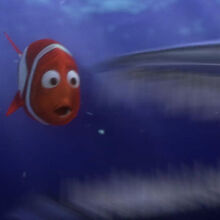Barracuda Pixar Wiki Fandom