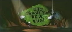 Bug