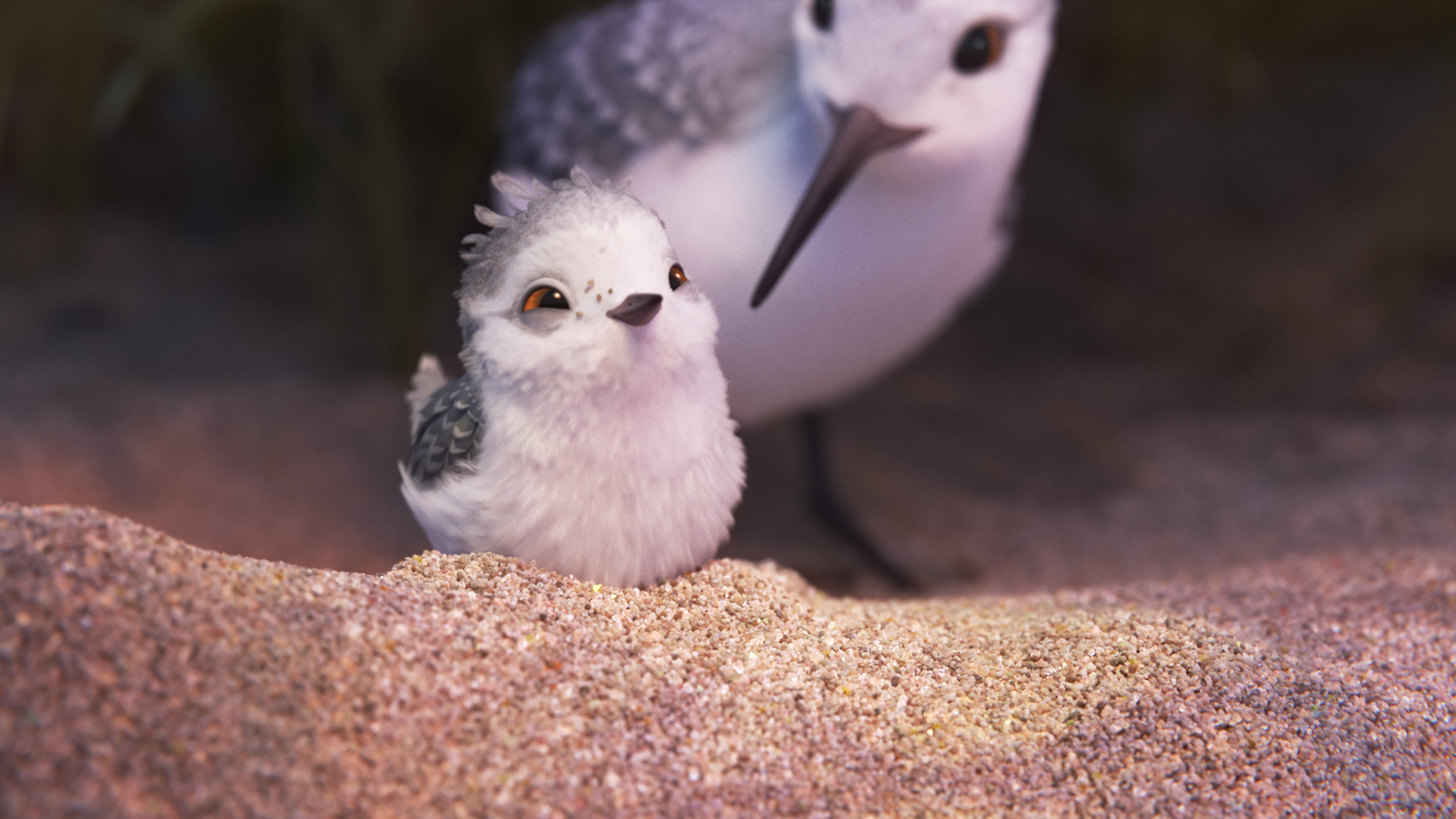 image piper withmother jpg pixar wiki fandom powered by wikia