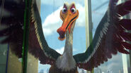 Nigel (Finding Nemo) | Pixar Wiki | FANDOM powered by Wikia