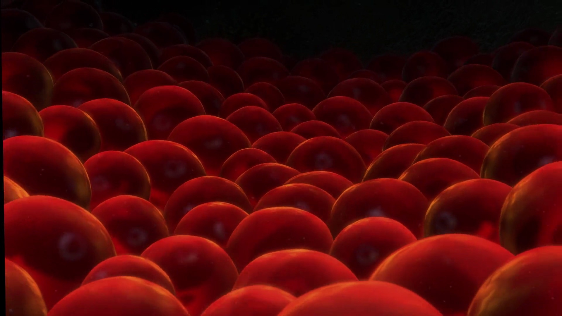 Coral's Eggs Pixar Wiki FANDOM powered by Wikia