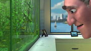 Finding-nemo-disneyscreencaps.com-10935