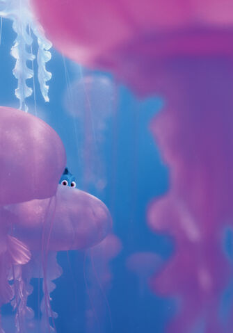 File:Finding Dory Textless 01.jpg