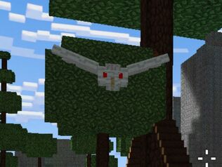 White Bird
