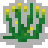 SungrassPlant