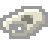 Giant Rat Skull