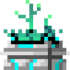 Succulent