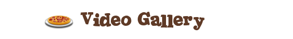 VIDgal