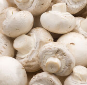 Champignon