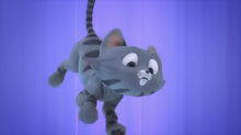 Falling Cat