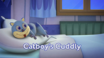 catboy cuddly toy