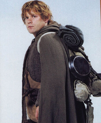 Samwise Gamgee | Peter Jackson's LOTR Wiki | Fandom