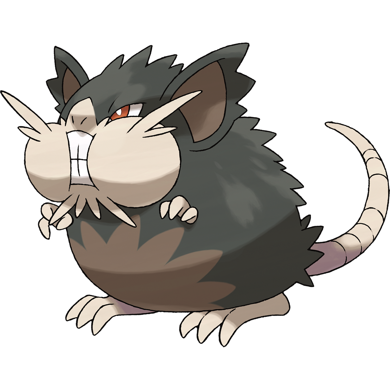 alolan rattata plush