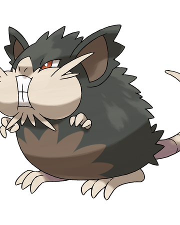 alolan raticate plush