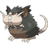 alolan raticate plush