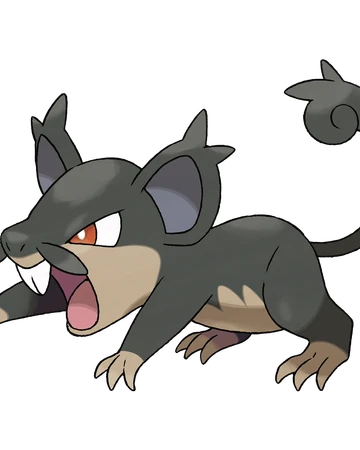 alolan raticate plush