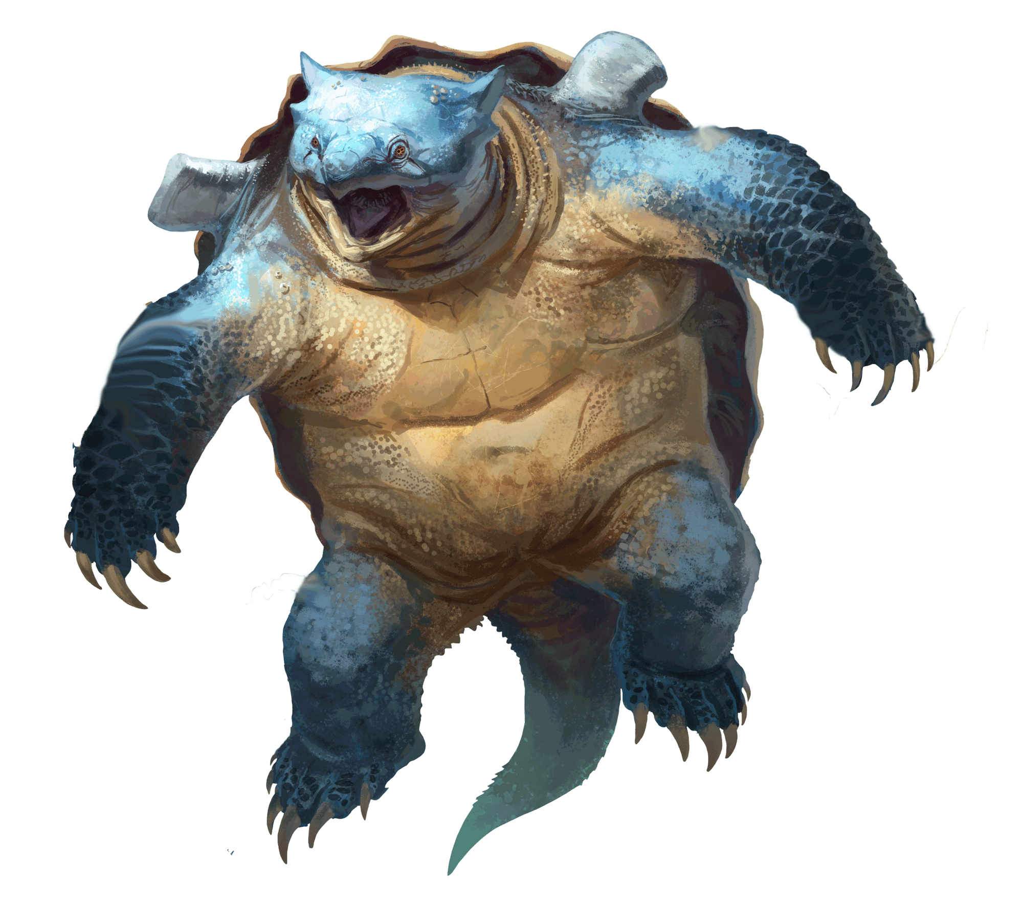 Image - Blastoise Realistico.png | PokemonArvalis Wiki | FANDOM powered by Wikia