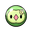 Solosis