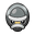 Shieldon