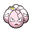 Exeggcute