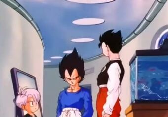 dlaczego bulma łączy się z vegeta