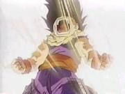 Gohan 5