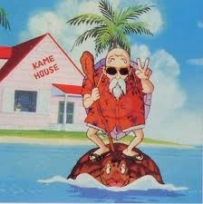 latest?cb=20100829180854