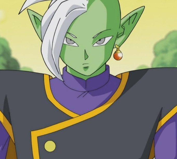 Zamasu Dragon Ball Wiki Fandom Powered By Wikia 9985