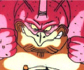 RageShenron