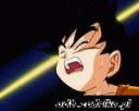 Gogku jr