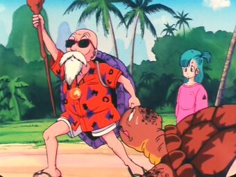 Bulma Dragon Ball Wiki Fandom