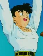 Yamcha 5