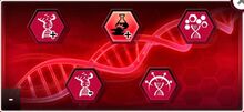 Mutation Genes